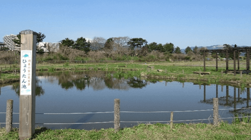 ひょうたん池から見た富士